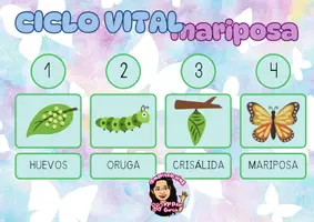 Vista previa - Manualidades / Dibujos para colorear - CICLO VITAL MARIPOSA - CIENCIAS NATURALES - PRIMAVERA - PLANIFICACIÓN - Portada