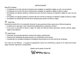 Vista previa - Manualidades / Dibujos para colorear - CICLO VITAL MARIPOSA - CIENCIAS NATURALES - PRIMAVERA - PLANIFICACIÓN - página 3