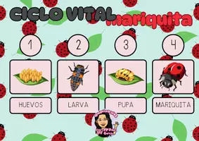 Vista previa - Hojas de trabajo - CICLO VITAL MARIQUITA - CIENCIAS NATURALES - PRIMAVERA - PLANIFICACIÓN - Portada