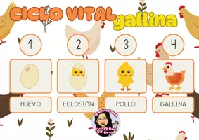 Vista previa - Hojas de trabajo - CICLO VITAL GALLINA - CIENCIAS NATURALES - PLANIFICACIÓN - Portada
