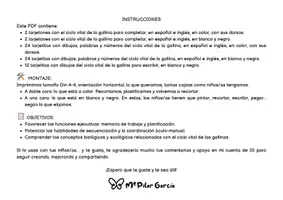 Vista previa - Hojas de trabajo - CICLO VITAL GALLINA - CIENCIAS NATURALES - PLANIFICACIÓN - página 3