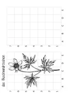 Vorschau - Arbeitsblätter - Rastertechnik Frühblüher - Zeichnen lernen - Frühling Blumen - Seite 2