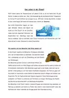 Vorschau - Arbeitsblätter - Das Leben in der Eiszeit Arbeitsblätter - Seite 3