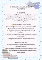 Vista previa - Tarjetas / Manipulativos - 🎡 LA RULETA DE LAS PALABRAS MÁGICAS 🎡 - Portada