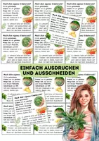Vorschau - Mal- und Bastelvorlagen - Kärtchen Mini-Rezept für Kräutersalz - Seite 2