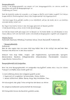 Vorschau - Stundenentwürfe - Psychomotorische Bewegungsbaustelle - Seite 2
