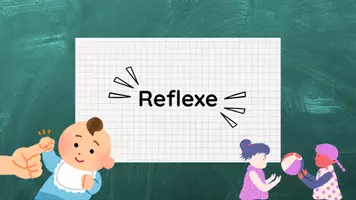 Vorschau - Stundenentwürfe - PPT & Stundenentwurf Reflexe - Teil 6 - Nervenwelt - Seite 2