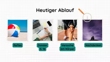 Vorschau - Stundenentwürfe - PPT & Stundenentwurf Reflexe - Teil 6 - Nervenwelt - Seite 3