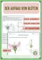 Vorschau - Arbeitsblätter - Der Aufbau von Blüten (Kirschblüte) - Deckblatt
