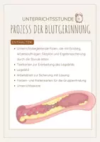 Vorschau - Stundenentwürfe - Der Prozess der Blutgerinnung (Legemodell) - Deckblatt