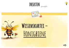 Vorschau - Interaktives Material - Wissenskartei - Bienen: INTERAKTIV - Seite 1