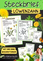 Vorschau - Arbeitsblätter - Steckbrief Löwenzahn Pflanzenkunde Wildpflanzen - Deckblatt