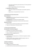 Vorschau - Stundenentwürfe - UN Kinderechtskonvention: Lehrervortag, Handout, Fallbeispiel, Arbeitsauftrag - Seite 2