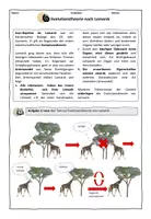Vorschau - Arbeitsblätter - Evolutionstheorien von Lamarck und Darwin // Evolution - Seite 1