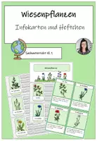Vorschau - Arbeitsblätter - Wiesenpflanzen: Infokarten und Heftchen - Deckblatt
