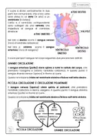 anteprima - Materiale di supporto/inclusione - Sistema Circolatorio - Pagina 1