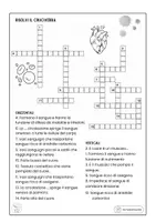 anteprima - Materiale di supporto/inclusione - Sistema Circolatorio - Pagina 2