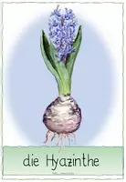 Vorschau - Poster - Frühblüherbilder mit Namen - Seite 3