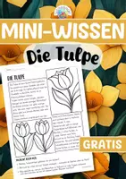 Vorschau - Arbeitsblätter - Mini-Wissen - Die Tulpe (Klasse 1/2) - Deckblatt