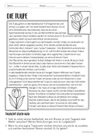Vorschau - Arbeitsblätter - Mini-Wissen - Die Tulpe (ab Klasse 3) - Seite 1