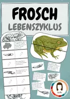 Vorschau - Arbeitsblätter - Amphibien Materialpaket 2 - Seite 1