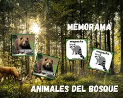 Vista previa - Juegos / Gamificación - MEMORAMA - Portada
