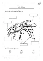 Vorschau - Stundenentwürfe - Biene Honig Wiese Arbeitsheft - Seite 3