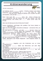 Vorschau - Arbeitsblätter - 🐸🐸 Krötenwanderung_Unterrichtsmaterial mit Lösungen 🐸🐸 - Seite 1