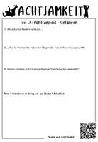 Vorschau - Arbeitsblätter - Philosophie: Achtsamkeit und Gefahren Teil 3 / Video / Klasse 10,11,12 - Seite 3