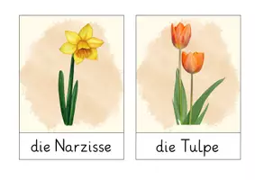 Vorschau - Fördermaterial/Inklusion - Bildkarten Frühling - Seite 2