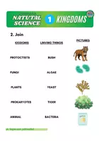 Vista previa - Hojas de trabajo - 3P Natural Science ANIMAL kINGDOMS - página 2