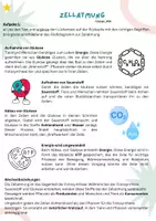 Vorschau - Arbeitsblätter - Zellatmung: Was brauchen unsere Zellen? (inkl. interaktivem Quiz) - Deckblatt