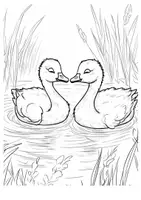 Vorschau - Arbeitsblätter - Ausmalbilder Enten - Seite 2