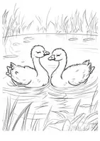 Vorschau - Arbeitsblätter - Ausmalbilder Enten - Seite 3
