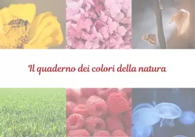 anteprima - Flashcard - Il quaderno dei colori della natura - Pagina di copertina