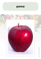 Vista previa - Unidades / Secuencias / Situaciones de Aprendizaje - Cartes d'agrupació amb vocabulari de fruites en català - página 1