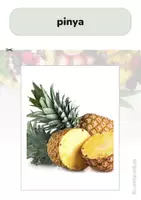 Vista previa - Unidades / Secuencias / Situaciones de Aprendizaje - Cartes d'agrupació amb vocabulari de fruites en català - página 3