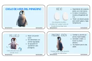 Vista previa - Tarjetas / Manipulativos - LLAVERO CICLO DE VIDA DEL PINGÜINO - Material colaborativo - página 1