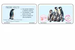 Vista previa - Tarjetas / Manipulativos - LLAVERO CICLO DE VIDA DEL PINGÜINO - Material colaborativo - página 2