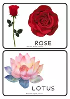 Vista previa - Manualidades / Dibujos para colorear - FLOWERS EASY CRAFT & FLOWERS FLASHCARDS- SPRING EQUINOX (MARCH 20TH) - página 3