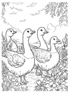 Vorschau - Arbeitsblätter - Kunst Gänse Frühling Ausmalbilder Garten ausmalen Malbuch - Seite 2