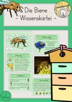 Vorschau - Stationenlernen - Biene Honig Wissenskartei - Deckblatt
