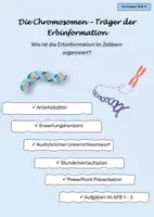 Vorschau - Stundenentwürfe - Chromosomen - Träger der Erbinformation #Lehrprobenstunde - Deckblatt