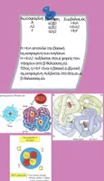 Προεπισκόπηση - Πλάνο μαθήματος / Υλικό για τον εκπαιδευτικό - ΑΙΜΟΣΦΑΙΡΙΝΕΣ - Σελίδα 1