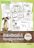 Vorschau - Stundenentwürfe - Der Hund Teil 2: Körperbau - Deckblatt