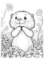 Vorschau - Arbeitsblätter - Ausmalbilder Otter - Seite 3