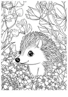 Vorschau - Arbeitsblätter - Igel Frühling Kunst Garten Ausmalbilder ausmalen Malbuch - Seite 2