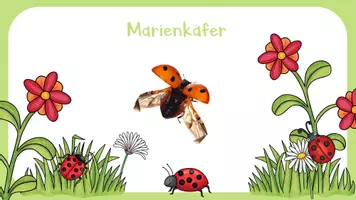 Vorschau - Unterrichtsreihen - Marienkäfer- Klasse 1 (Komplettpaket) - Seite 3