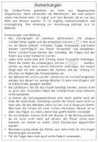Vorschau - Unterrichtsreihen - Frühling / Ostern - Kunstprojekt - Bunte Hühner aus Pappmaschee (Pappmaché) - Seite 3