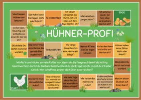 Vorschau - Spiele - Hühner-Profi Brettspiel Grundschule - Deckblatt
